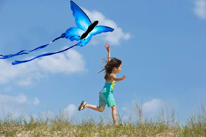 Large Butterfly Delta Kite 135cm with Long Tail and Handle
