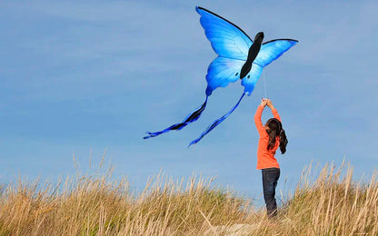 Large Butterfly Delta Kite 135cm with Long Tail and Handle